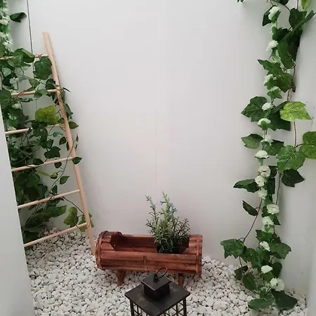 Casa Magua-2